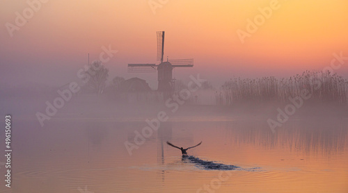 Sunrise in the Green Heart of the Netherlands