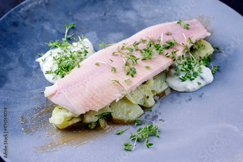 Modern Style traditionell geräuchertes Regenbogenforellenfilet mit Kartoffelsalat und Mayonnaise serviert als Close-up auf einem Design Teller