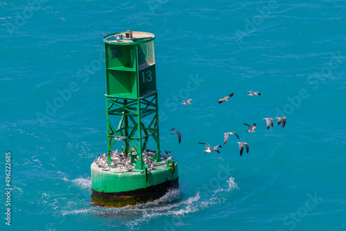 Green Floating Buoy with Seagulls