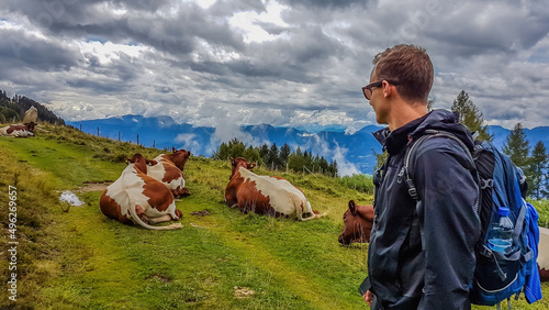 A young man encounters a herd of cows on a hiking rail. Cows are lying on the trail. Brown and withe flecks on the animals. Boy wears sunglasses and a hiking backpack. Huge overcast. Lazy animals.