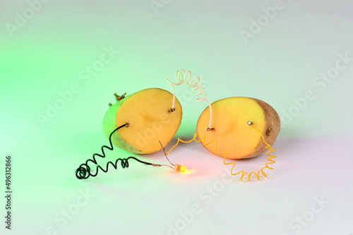 Potato battery on white background. Alternative green energy generated from potatoes. 