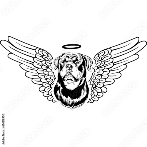 Rottweiler with Wings and Halo Vector