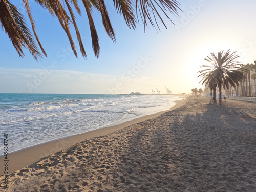 La Malagueta urban sand beach with palm trees promenade at sunrise golden light on the Costa del Sol, Malaga, Spain, Europe