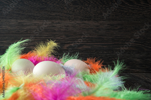 wielkanocne jajka w kolorowych piórach z miejscem na kopie