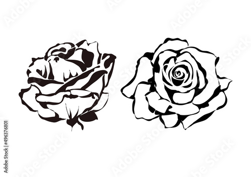 róże ilustracja