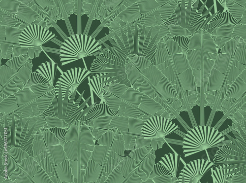 Exotic jungle plants, leaves vintage botanical illustration. Monochrome tropical fan palm tree leaf vector seamless pattern design. Bathroom, bedroom, home decor wallpapers. 