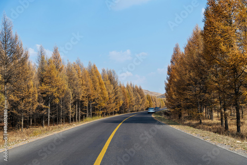 Country road with blue sky in the autumn