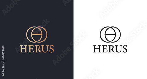 simple modern luxury letter h logo design vector