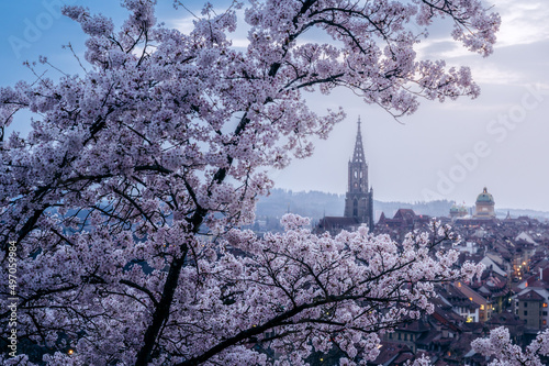 spring in Bern