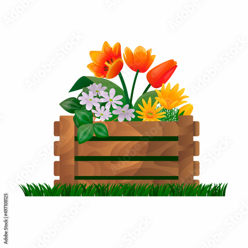 Vector isolated illustration with a wooden garden, rustic box as flowerbeds and flowers growing inside. Concept of gardening, design of homesteads, etc. You can use element in web design, banners, etc