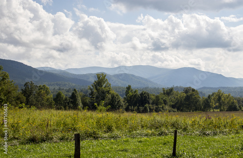 Summer in the Smokies