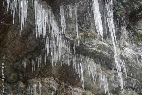 Photo of icicles in winter