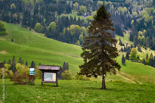 krajobraz, tablica, góra, drzewo, wiosna, podróż, niebo, obszar wiejski, urlop, zieleń, pola, bory, las, park, ścieżka