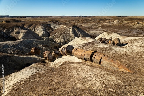 Long petrified log