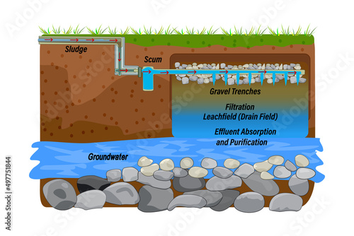 Drainfield diagram isolated on white background. Effluent absorption and purification scheme. Wastewater underground leach field.Sewage treatment system.Soil and water layers.Stock vector illustration