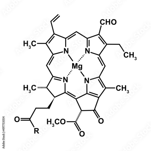 Chlorophyll b Chemical Structure. Vector Illustration.