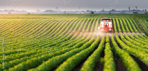 Tractor spraying soybean field at spring