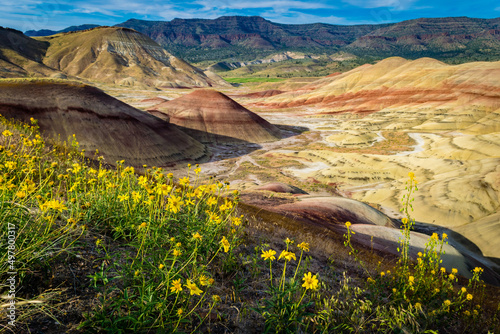 landscape with flowers and badlands