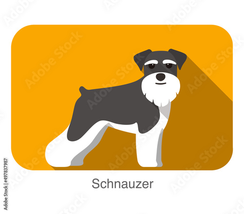 Breed schnauzer dog standing on the ground, side, face forward, dog cartoon image