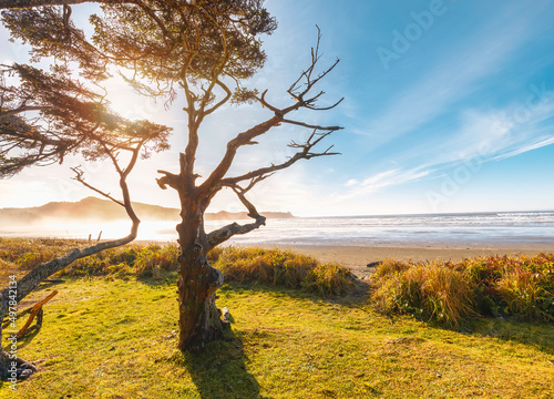 Pacific coastline containing beach, coast, and view of the pacific ocean. Great nature stock photo is suitable for projects that involve the ocean, vacation and travel destinations. Tofino. Canada