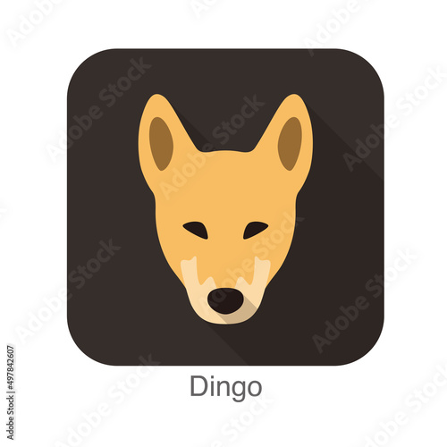 Dingo breed flat icon design