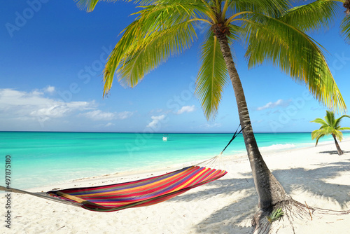 beach with palm trees and colorful hammock