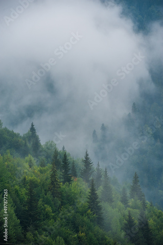 Mountain slopes landscape with fir trees in the fog in Svaneti, Georgia