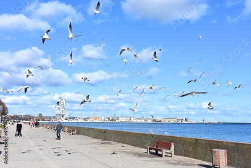 Gdynia, miasto portowe nad Bałtykiem, miejscowość wypoczynkowa, nad morzem,