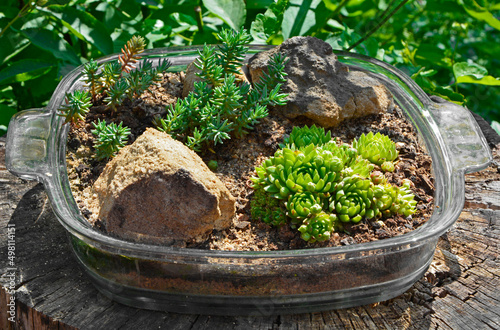 mini skalniak w szklanym naczyniu, ogrodowy recykling, mini rockery in a glass pot, garden recycling