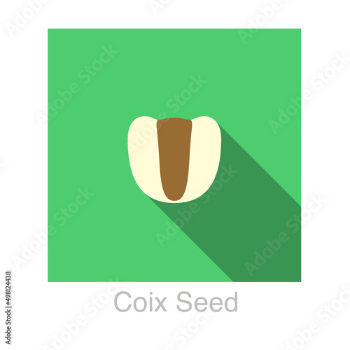 Coix seed food flat icon vector illustration