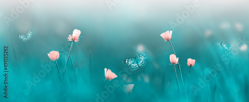 Pink wild flowers and butterflies. Spring summer background. Banner format.
