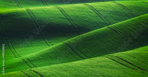 Rural spring agriculture texture background. Green waves hills in South Moravia, Czech Republic. Green fields landscape.