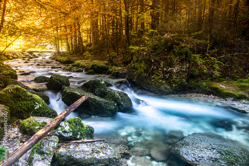 Ruisseau tranquille dans le massif de la Chartreuse, aux couleurs d'automne