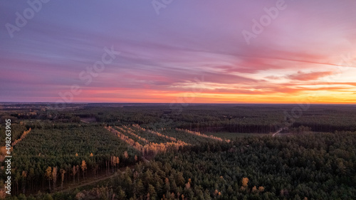 Beautiful landscape of the sunset over the forest. Blue sky, pastel pink clouds. Autumn colors of the trees.