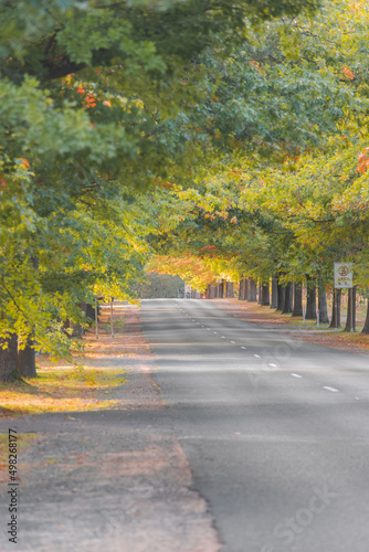 Empty road with autumn foliage around it.