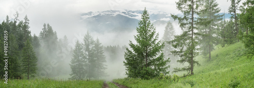 Foggy morning in the mountains, cloudy weather, summer travel, panoramic view
