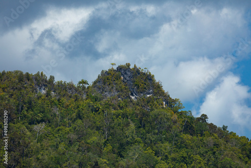 Landscape and karst hill on a tropical island, Raja Ampat Islands, West Papua, covered with jungle and green trees, under a blue sky full of cumulonimbus, Indonesia