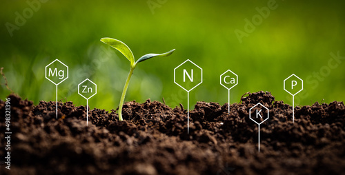 Representing soil chemistry with symbols of Nitrogen, Potassium, Phosphorus, Calcium, Magnesium and Zinc sticking out of the ground next to growing young plant