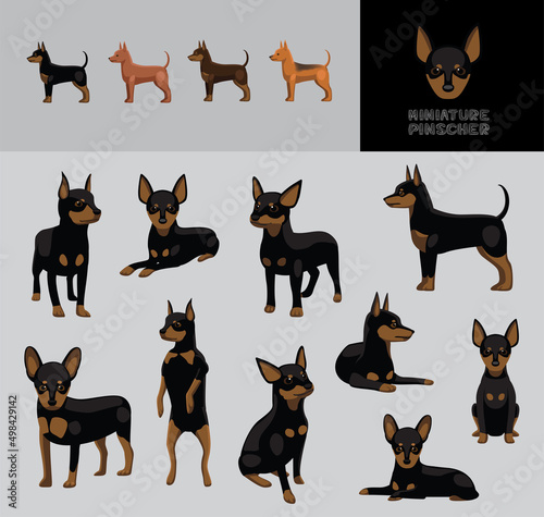 Dog Miniature Pinscher Cartoon Vector Illustration Color Variation Set