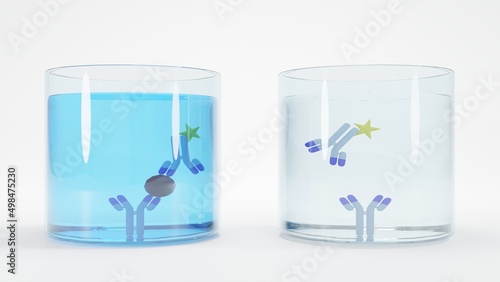 3D illustration of an immunoassay method. Schematic of sandwich enzyme-linked immunosorbent assay (ELISA) format. The results show positive and negative on the left and right, respectively.