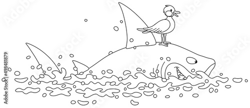 Funny great white shark and a small seagull swimming in open waters of a tropical sea, black and white vector cartoon illustration for a coloring book page