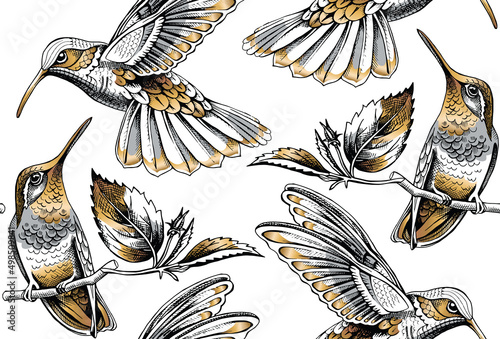 Seamless pattern with image gold Hummingbird on a white background. Vector illustration.