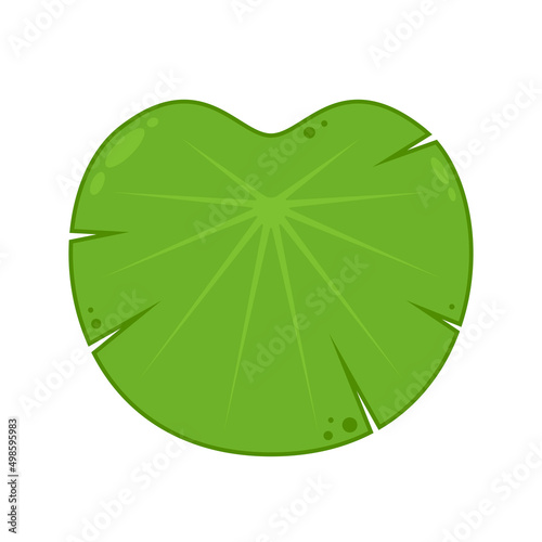 Lily pad vector. Lily cartoon vector on white background.