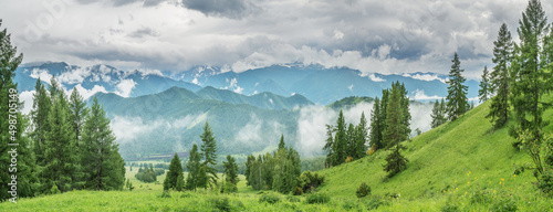 Foggy morning in the mountains, cloudy weather, summer travel, panoramic view 