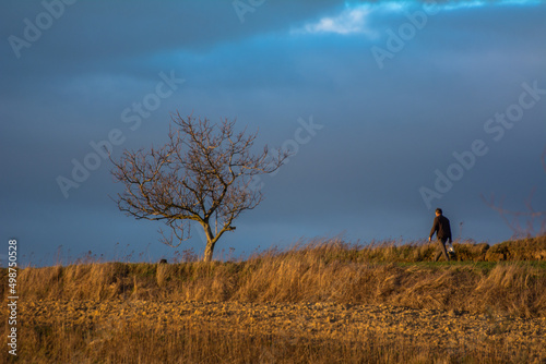 Samotne drzewo i samotny mężczyzna w poalch