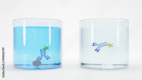 3D illustration of an immunoassay method. Schematic of Direct enzyme-linked immunosorbent assay (ELISA) format. The results show positive and negative on the left and right, respectively.