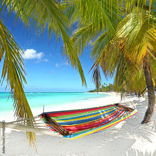 Caribbean beach with palms and hammock