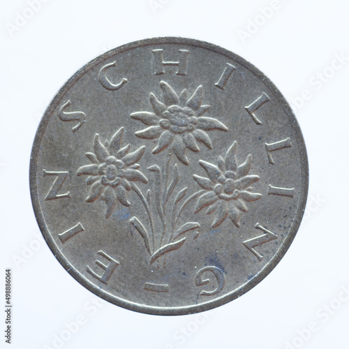 Austria - circa 1979: a 1 Schilling coin of Austria showing the flowering plant Alpine Edelweiss, Leontopodium nivale. Text: Republic of Austria