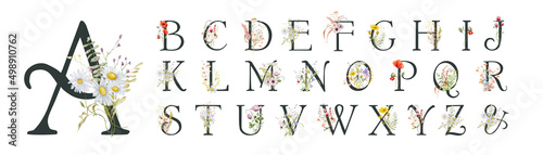 Watercolor floral english alphabet set with wild flowers from A to Z