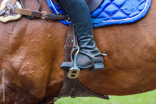 Horse riding leg spur close-up